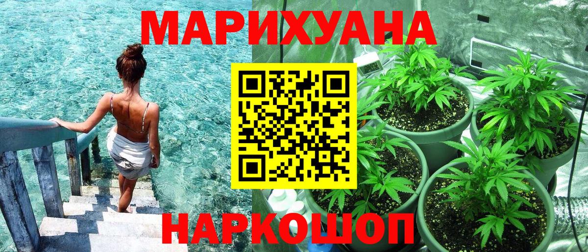 Шишки марихуана OG Kush  Вход с VPN  Заводоуковск  Каннабис семена 